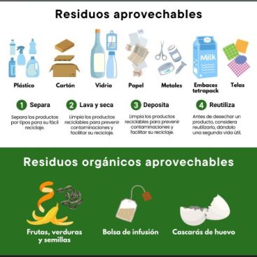 Infografía Reciclaje Ilustrado Verde reducida 2