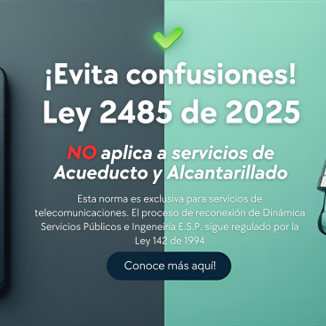 confusiones ley 2485_2