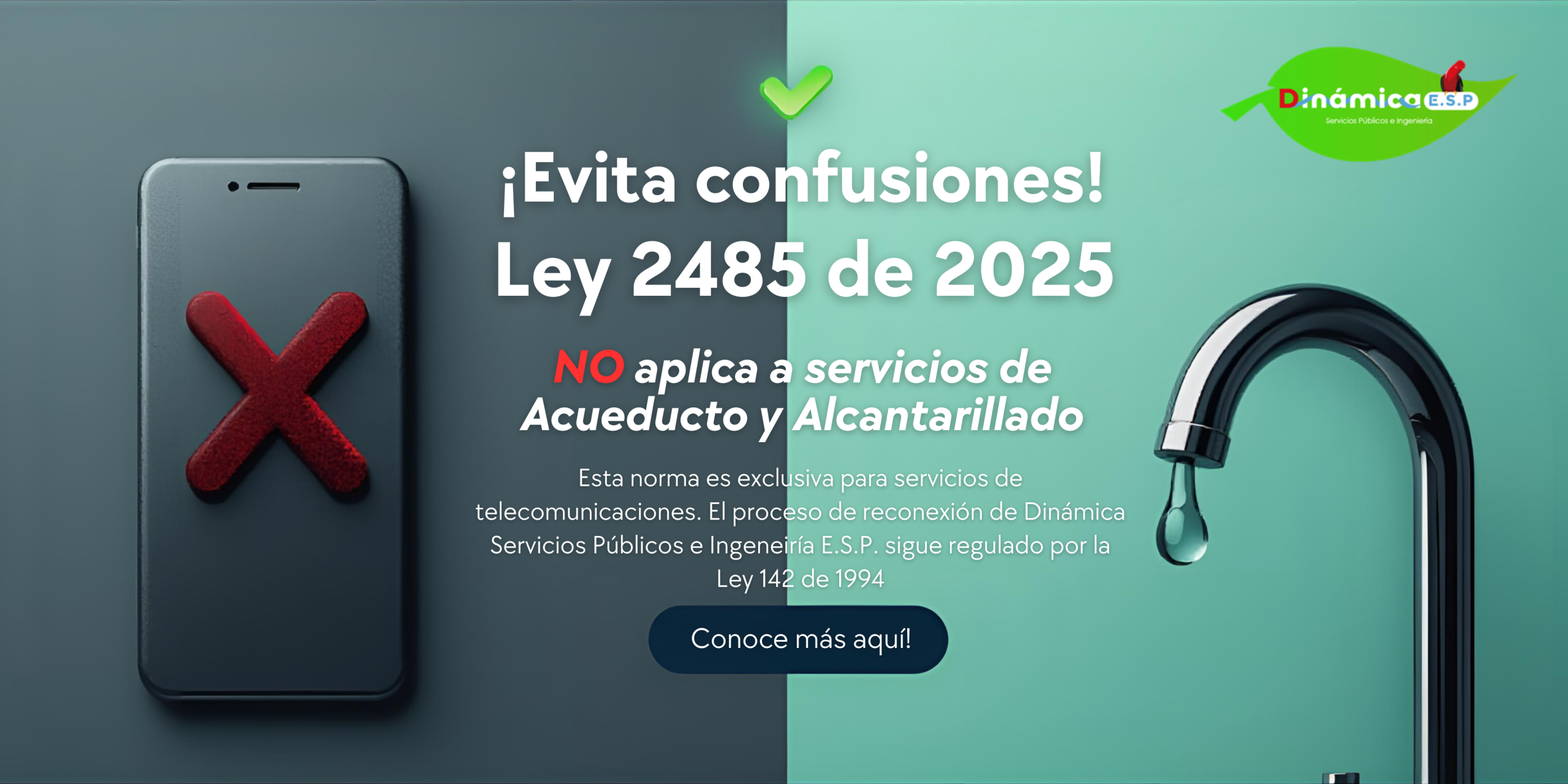 confusiones ley 2485_2